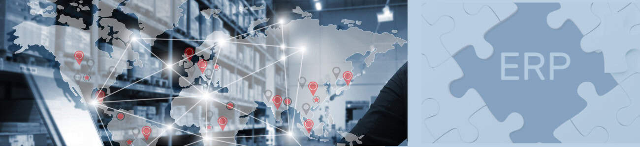 What is ERP System blog